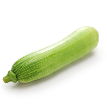 Korean Zucchini - Kingka F1 Seeds | 애호박 씨앗