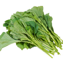 Korean Mallow - Skirt Leaf Seeds | 치마아욱 씨앗-2