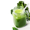 Korean Kale - Wrapper F1 Seeds | 맛짱쌈케일 씨앗-2