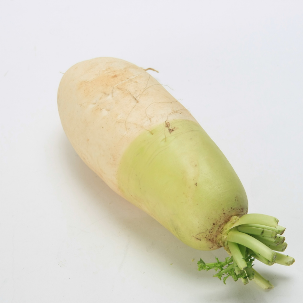 Korean Radish - Youngdong F1 Seeds | 영동무 씨앗