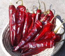 Korean Chilli - Red Giant Seeds | 자이언트 고추 (고추가루용)-2